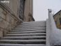 neve (29)